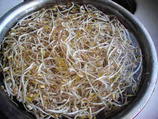 砂锅生绿豆芽的做法步骤：14