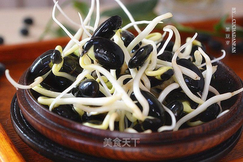 自制黑豆芽