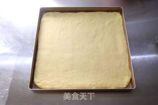 老面肉松面包卷的做法步骤：7