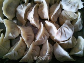 香菜馅饺子。的做法步骤：4