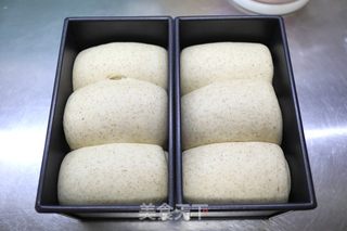 波兰种黑全麦吐司的做法步骤：11
