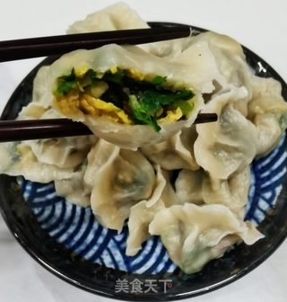 荠菜鸡蛋饺子的做法步骤：13