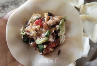 酸辣槐花木耳猪肉饺的做法步骤：2