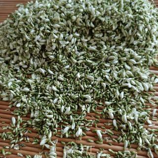 红糖槐花茶的做法步骤：5