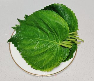 苏子叶卷肘子的做法步骤：3