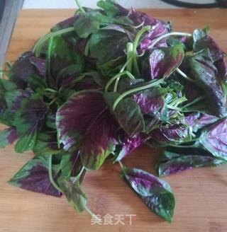 凉拌苋菜粉条的做法步骤：2