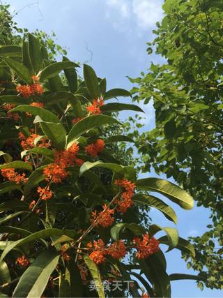 糖桂花的做法步骤：1